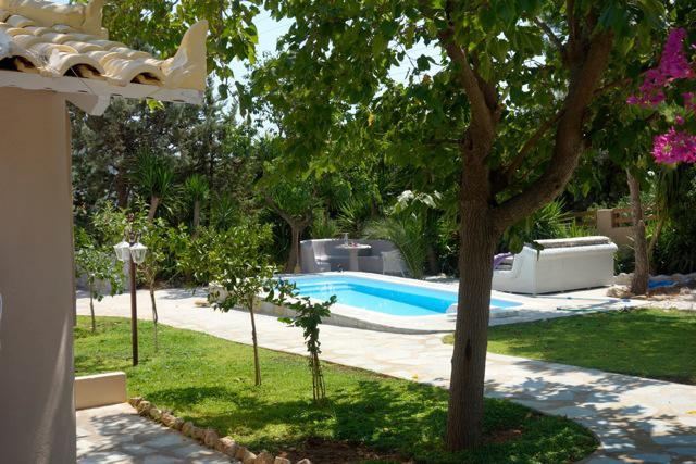 Villa Dendron Agia Marina  Exterior photo